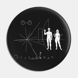 Pioneer plaque Too small ! Pin