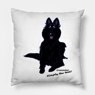 Groenendael - Simply the best Pillow