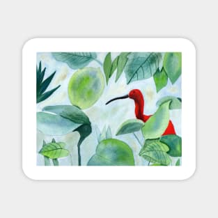 Tropical Bird with Jungle Magnet