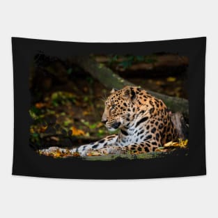 Amur Leopard Tapestry