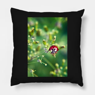 Ladybug on green Pillow