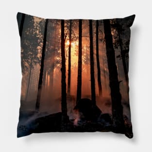 SCENERY 84 - Sunset Forest Tree Silhouette Natural Environment Pillow