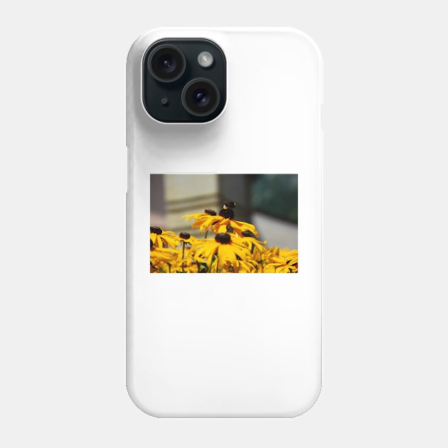 Bee on Rudbeckia Flowers Phone Case by jojobob