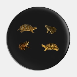 Frogs & Turtles Vintage Illustration Pack Pin