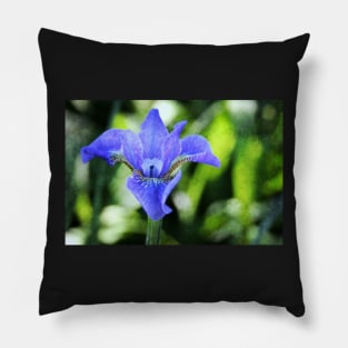 Textured Blue Iris Pillow