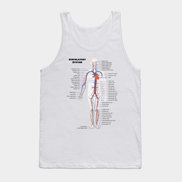 Vein Chart