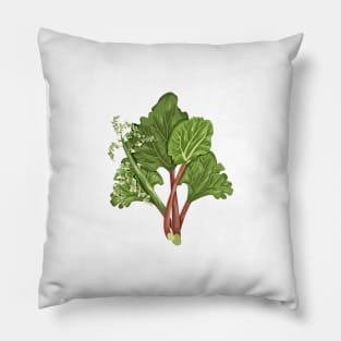 Rhubarb Plant  Botanical Pillow