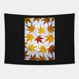 Acer Leaf Collage Tapestry