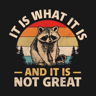 It Is What It Is And It Is Not Great T-Shirt