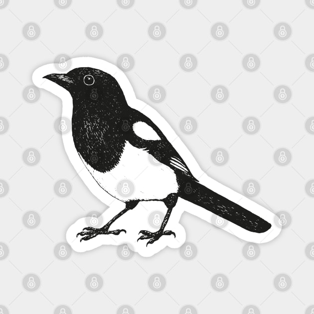 Magpie pen drawing Magnet by Bwiselizzy