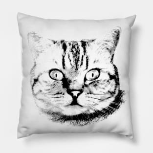 Cute Cat Pillow