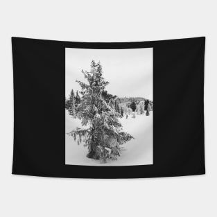 Black and White Shot of Snow-Covered Fir Tree in Frozen Winter Landscape Tapestry