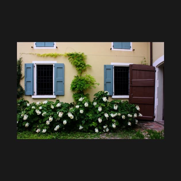 Farmhouse Wall with Windows. Campogalliano, Italy 2011 by IgorPozdnyakov