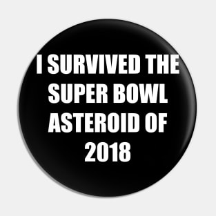 I Survived the Super Bowl Asteroid Pin