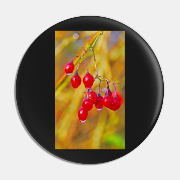 Red Berries Pin by Graz-Photos