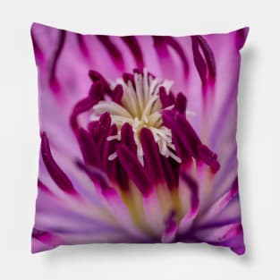 Close up Clematis Pillow