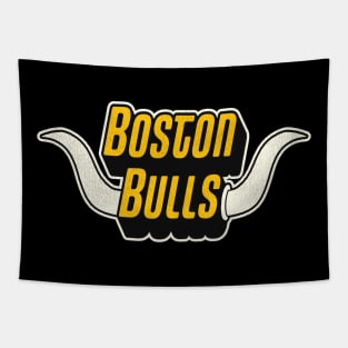 Defunct Boston Bulls Football Team Tapestry