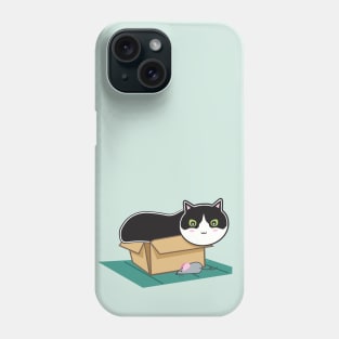 Box Kitty Phone Case