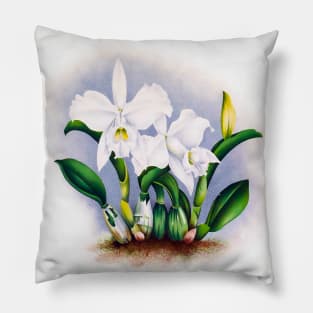 White lilies Pillow