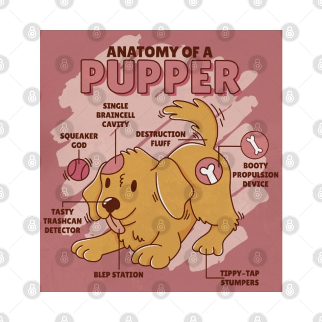 Anatomy of a Pupper by Digital-Zoo