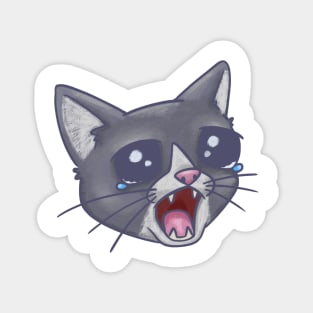 Crying Cat Meme Magnet