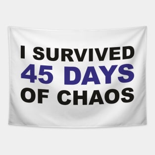 I survived 45 days of CHAOS! Tory Party in SHAMBLES Tapestry