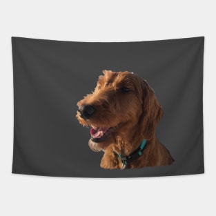 Goldendoodle Smile Tapestry