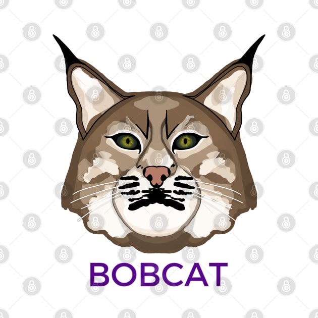 Bobcat by imsnos