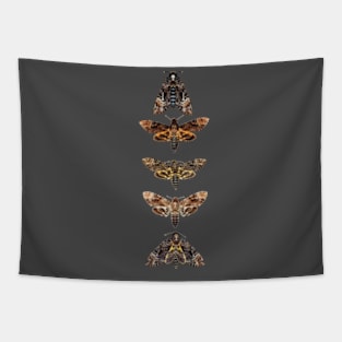 Death Head Moth | Skull Moth | Death Moth | Hawk Moth Tapestry