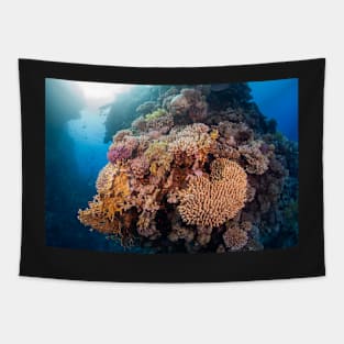 Colourful Hard Coral boulder Tapestry