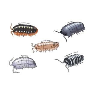 Isopod sticker pack 1 T-Shirt