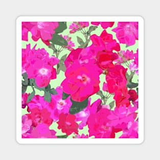 Soft Wild Roses on Pale Green Magnet