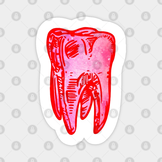 Tooth Magnet by Pau1216p