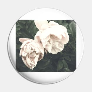 Peony fading Pin