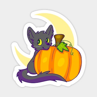 Autumn Spooky Pumpkin Black Cat Magnet