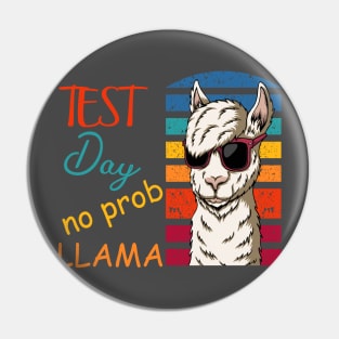 Test Day No Prob-Llama Pin