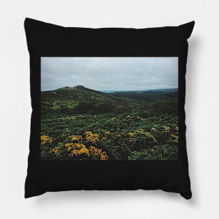 Morning Hours in Dartmoor NP Pillow