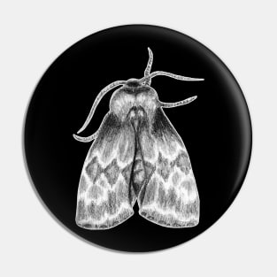 Moth Insect Pencil Drawing Pin