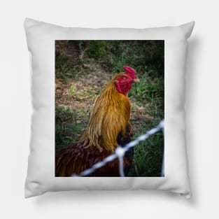 Mr  Rooster Pillow