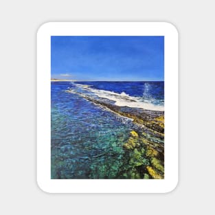 Port Noarlunga Reef Magnet