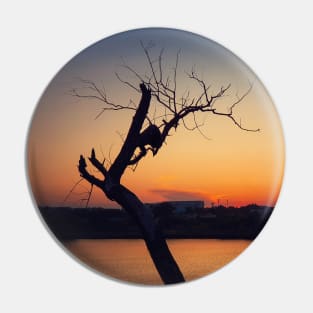 dry tree over sunset Pin