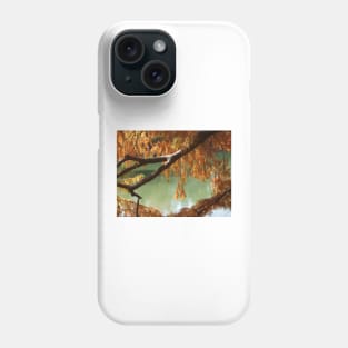 Colorful Fall Bald Cypress Phone Case