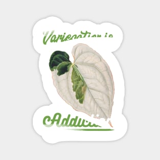 Variegation Addiction Magnet