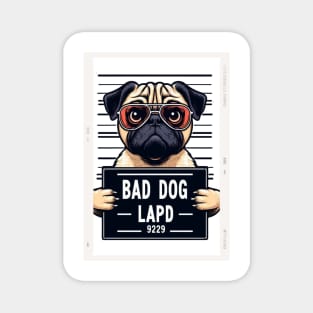 LAPD Mugshot of Bad Dog Magnet