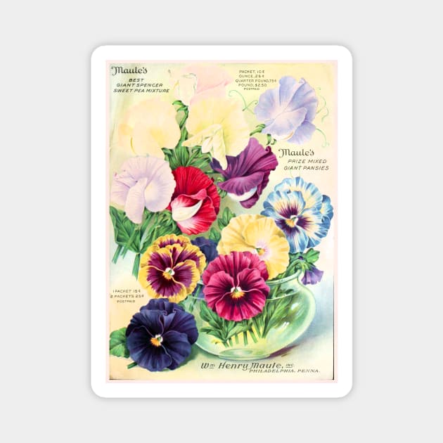 Maule's Seed Packet Label Magnet by WAITE-SMITH VINTAGE ART