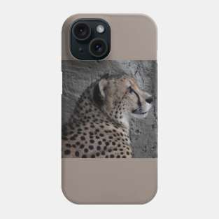 Cheetah Phone Case