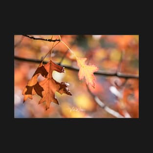 Autumn leaves from Honour Avenue, Mount Macedon, Victoria, Australia. T-Shirt