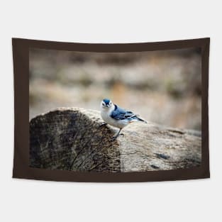 "White-Breasted Nuthatch" Tapestry