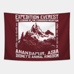 Expedition Everest Attraction - Light Tapestry