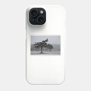 Snow Squall Phone Case